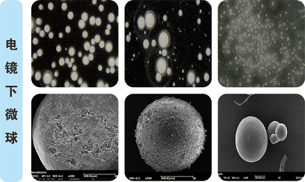全球独家口服微球产品